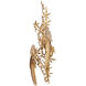 Aviary Wall Sconce Wall Light, Right