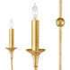 Nottaway 18 Light 60 inch Contemporary Gold Leaf/Contemporary Gold Chandelier Ceiling Light