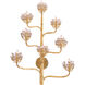 Agave Americana Wall Sconce Wall Light, Marjorie Skouras Collection