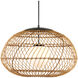 Carriage 1 Light 32.75 inch Natural/Black/Frosted White Outdoor Pendant