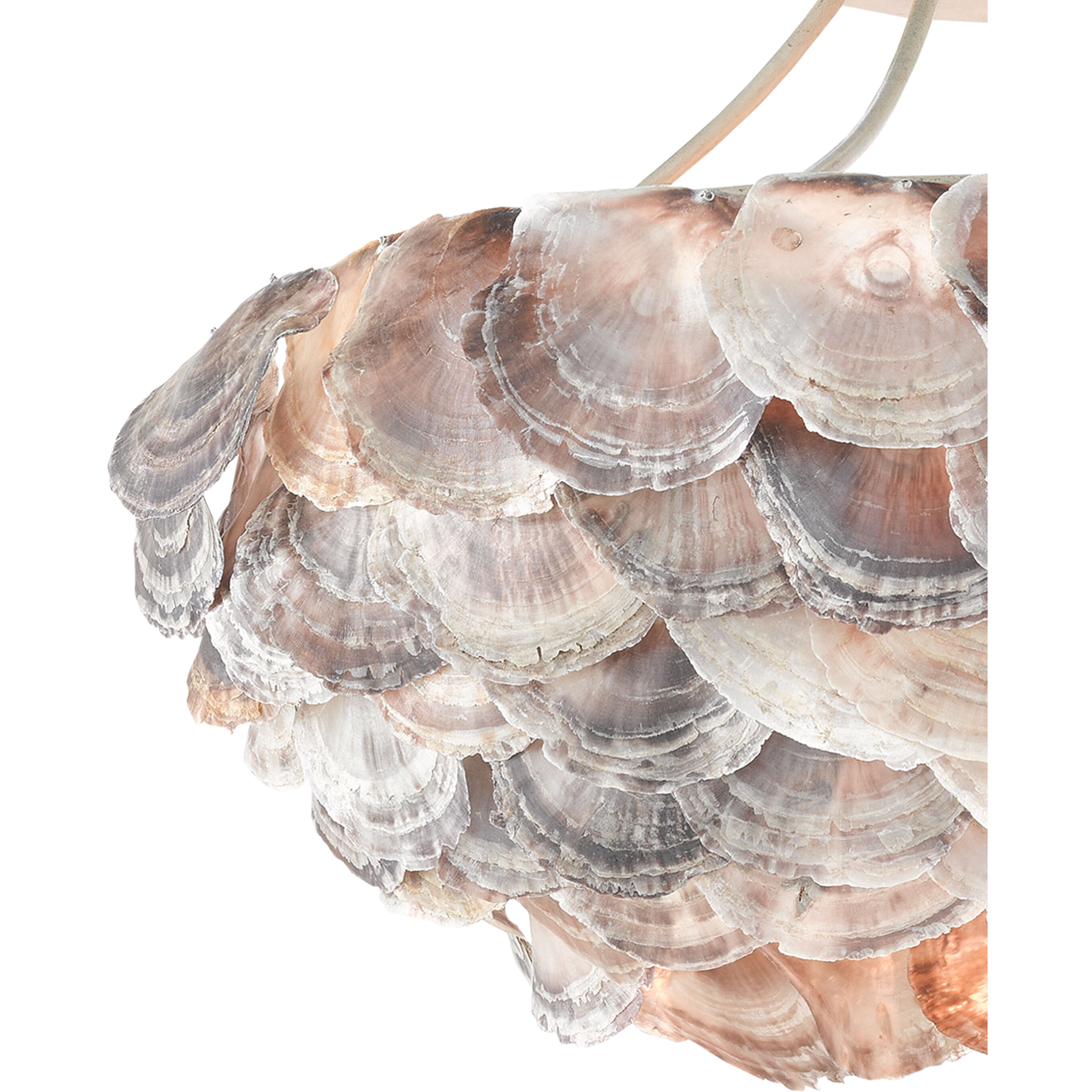 Seahouse 6 Light 22 inch Smokewood/Natural Shell Chandelier Ceiling Light, Convertible to Semi-Flush