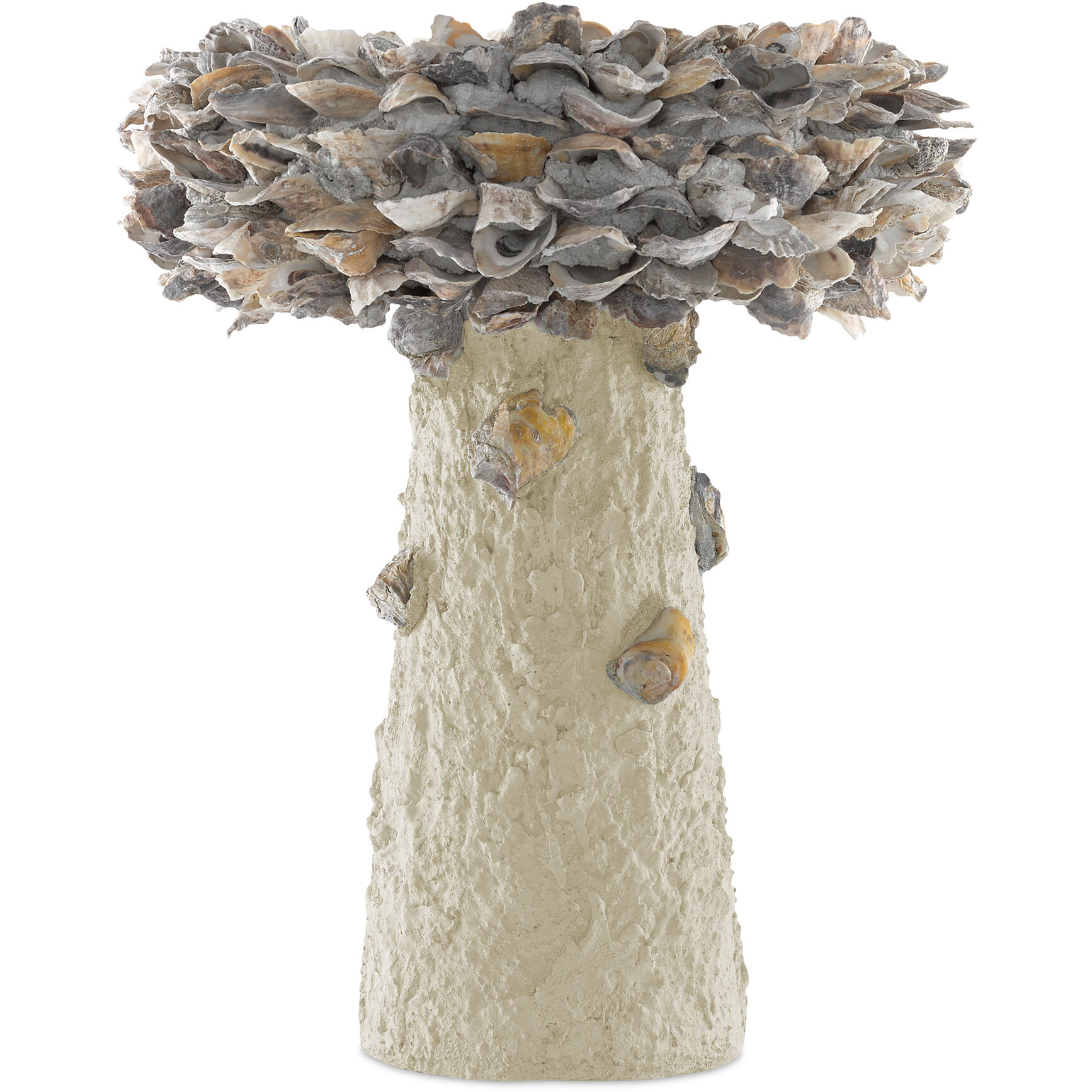 Oyster Shell Natural Bird Bath, Medium