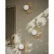 Apricity Wall Sconce Wall Light