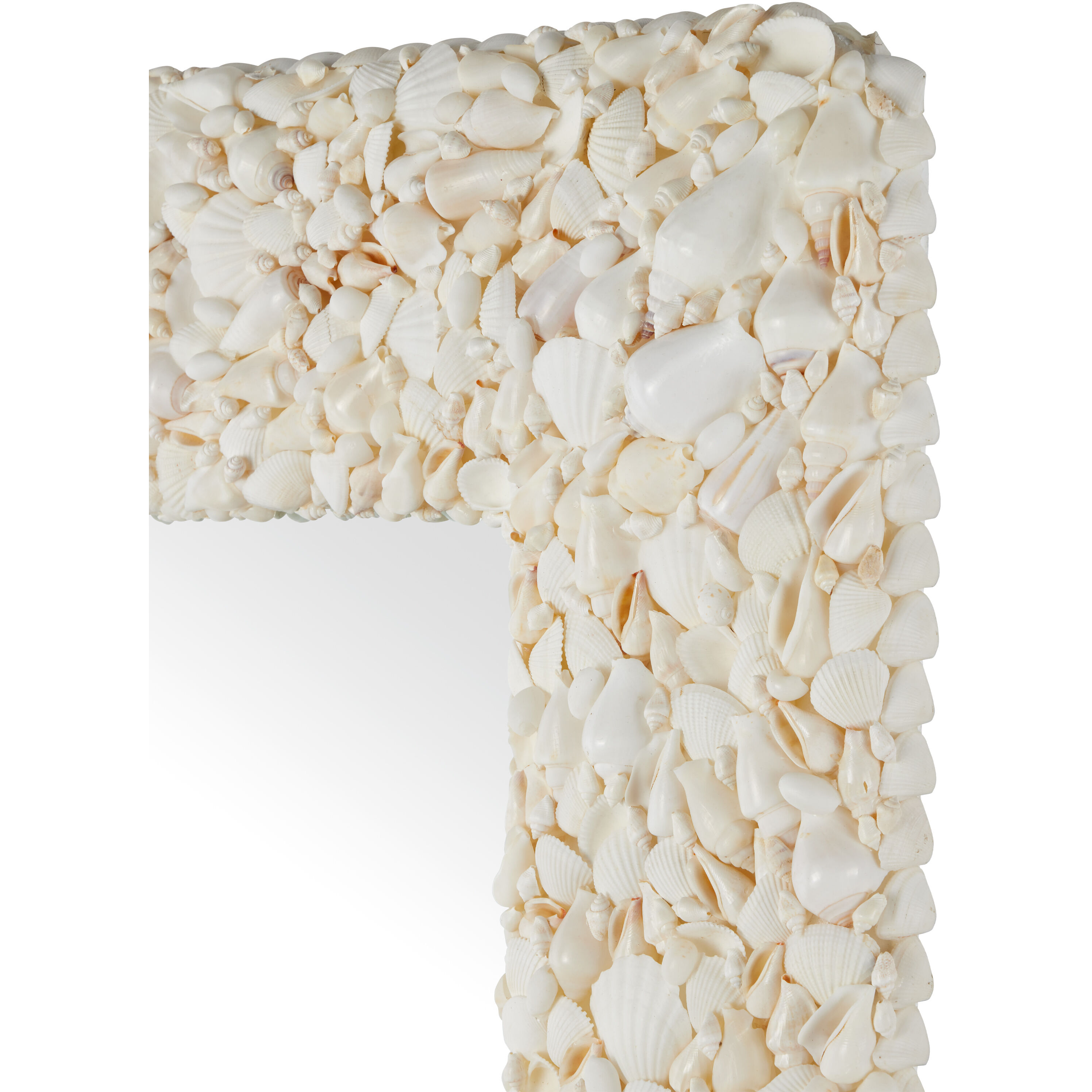 Turbinella 48.25 X 32.5 inch Natural Mirror