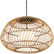 Carriage 1 Light 32.75 inch Natural/Black/Frosted White Outdoor Pendant