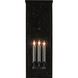 Tanzy 3 Light 28 inch Midnight Outdoor Wall Sconce, Large
