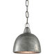 Earthshine 1 Light 8 inch Blackened Steel Pendant Ceiling Light, Small