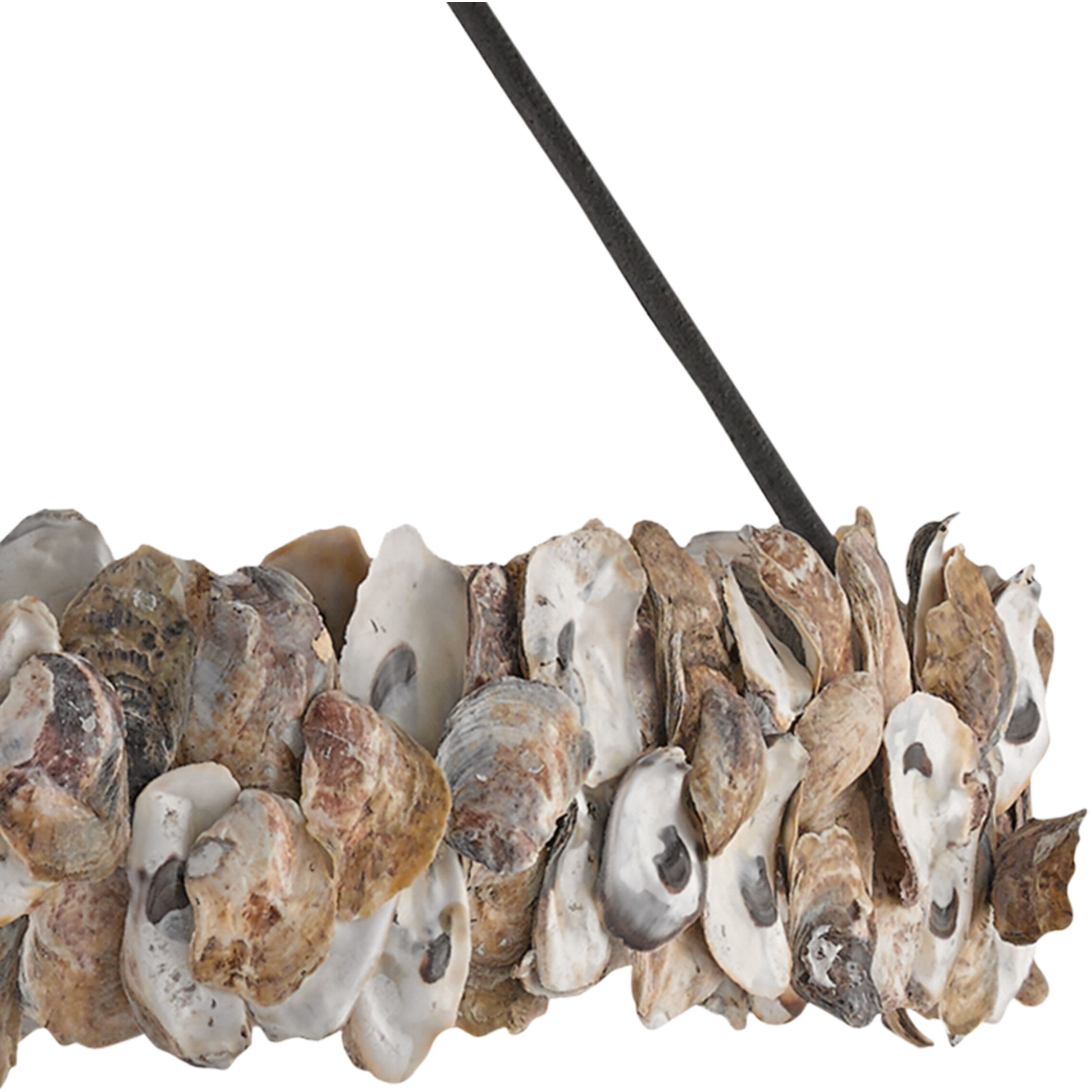 Oyster Circle 8 Light 38 inch Textured Bronze/Natural Chandelier Ceiling Light