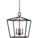 Denison 4 Light 18 inch Mol&eacute; Black Lantern Pendant Ceiling Light, Medium