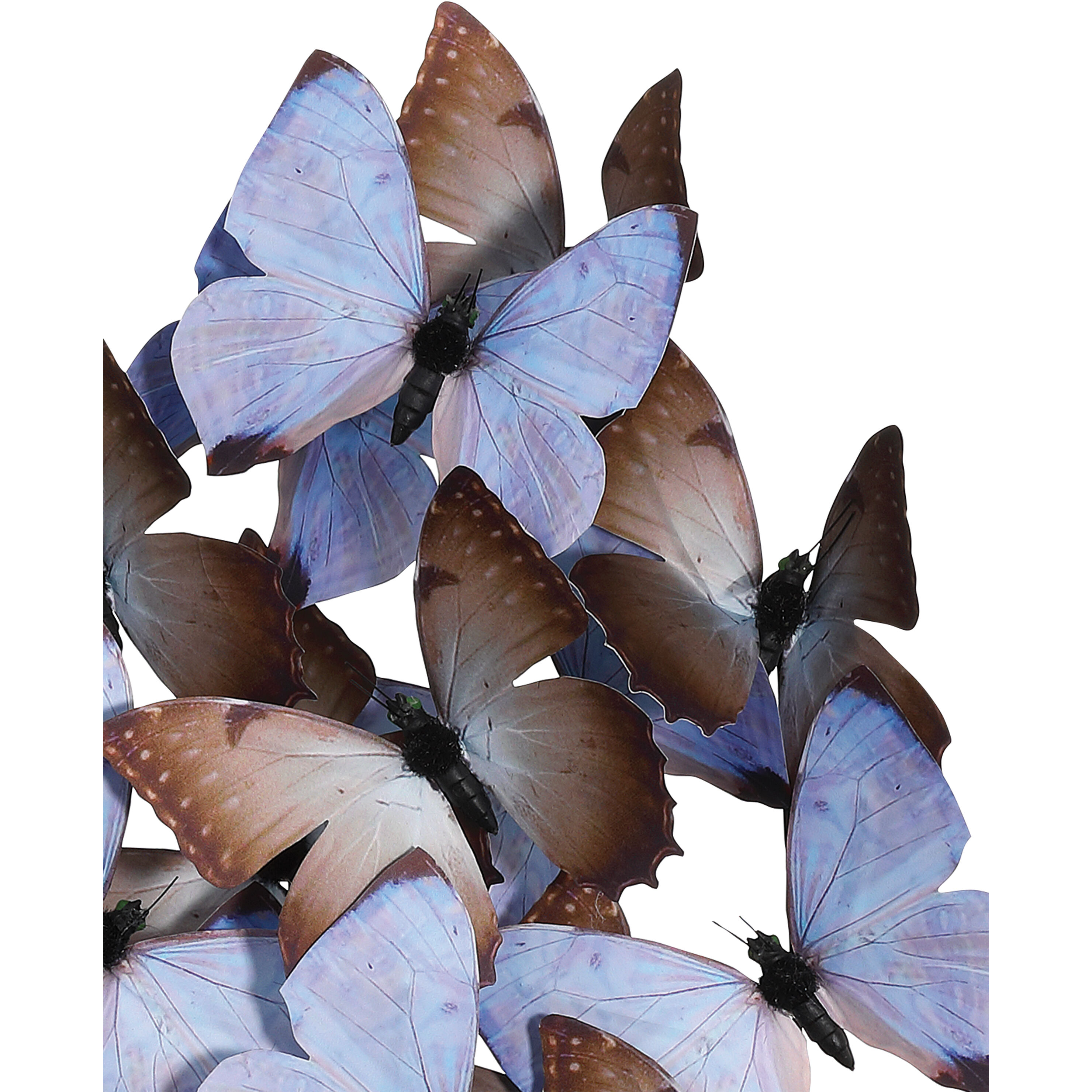 Rue de Bac 16.25 X 13.25 inch Butterflies Sculpture, Large