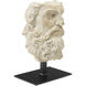 Head of Zeus 9.25 X 5.88 inch Sculpture