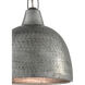 Earthshine 1 Light 8 inch Blackened Steel Pendant Ceiling Light, Small