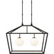 Denison 2 Light 36 inch Black/Frosted White Outdoor Linear Lantern Pendant