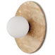 Apricity Wall Sconce Wall Light