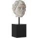 Venus Head on Stand 12.5 X 3.5 inch Sculptures, Set of 2