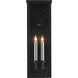 Tanzy 2 Light 23.75 inch Midnight Outdoor Wall Sconce, Medium