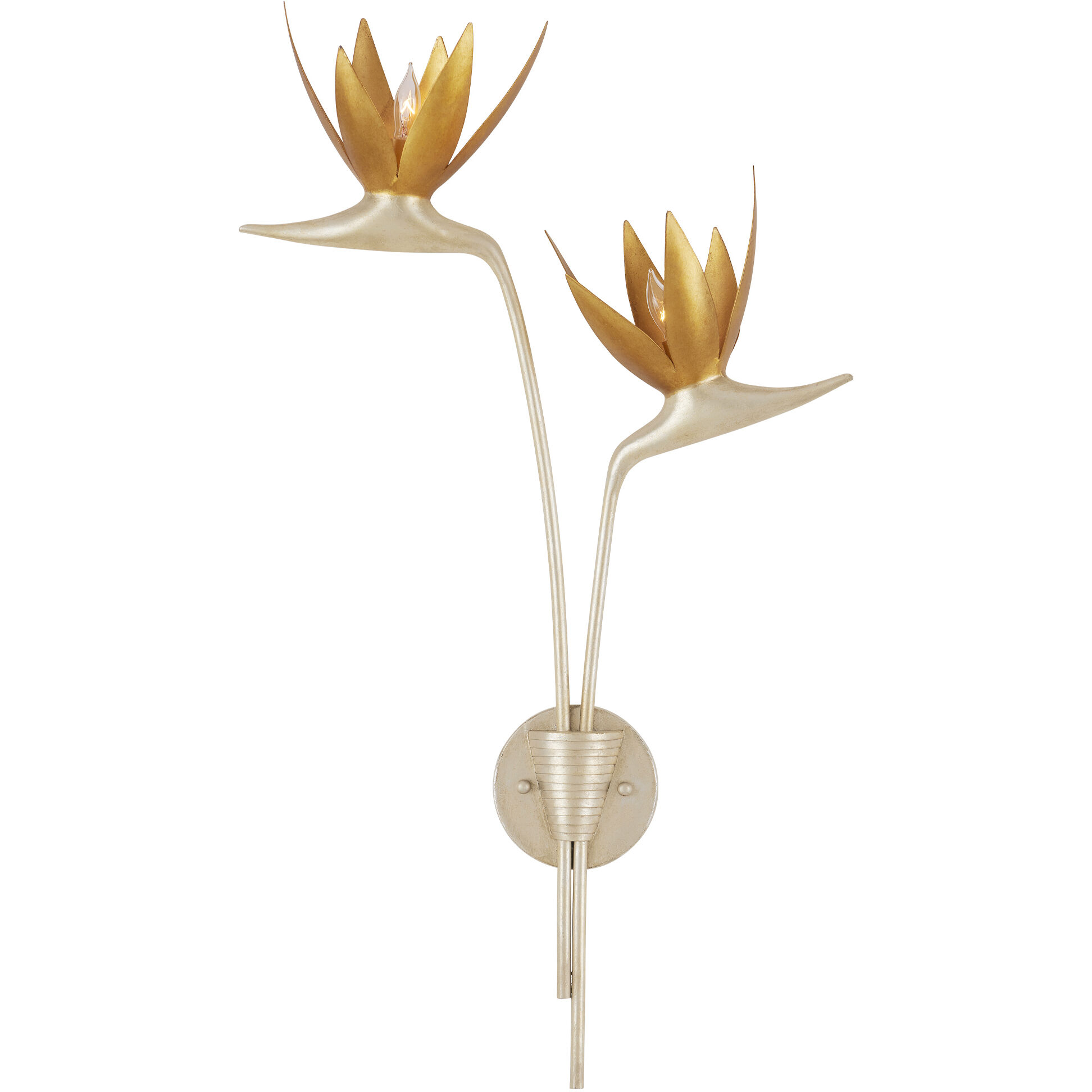 Paradiso Wall Sconce Wall Light, Left