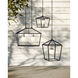 Denison 1 Light 26 inch Black/Frosted White Outdoor Lantern Pendant, Large