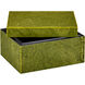 Rina 10.25 X 8.25 inch Green Box