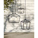 Denison 1 Light 18 inch Black/Frosted White Outdoor Lantern Pendant, Medium
