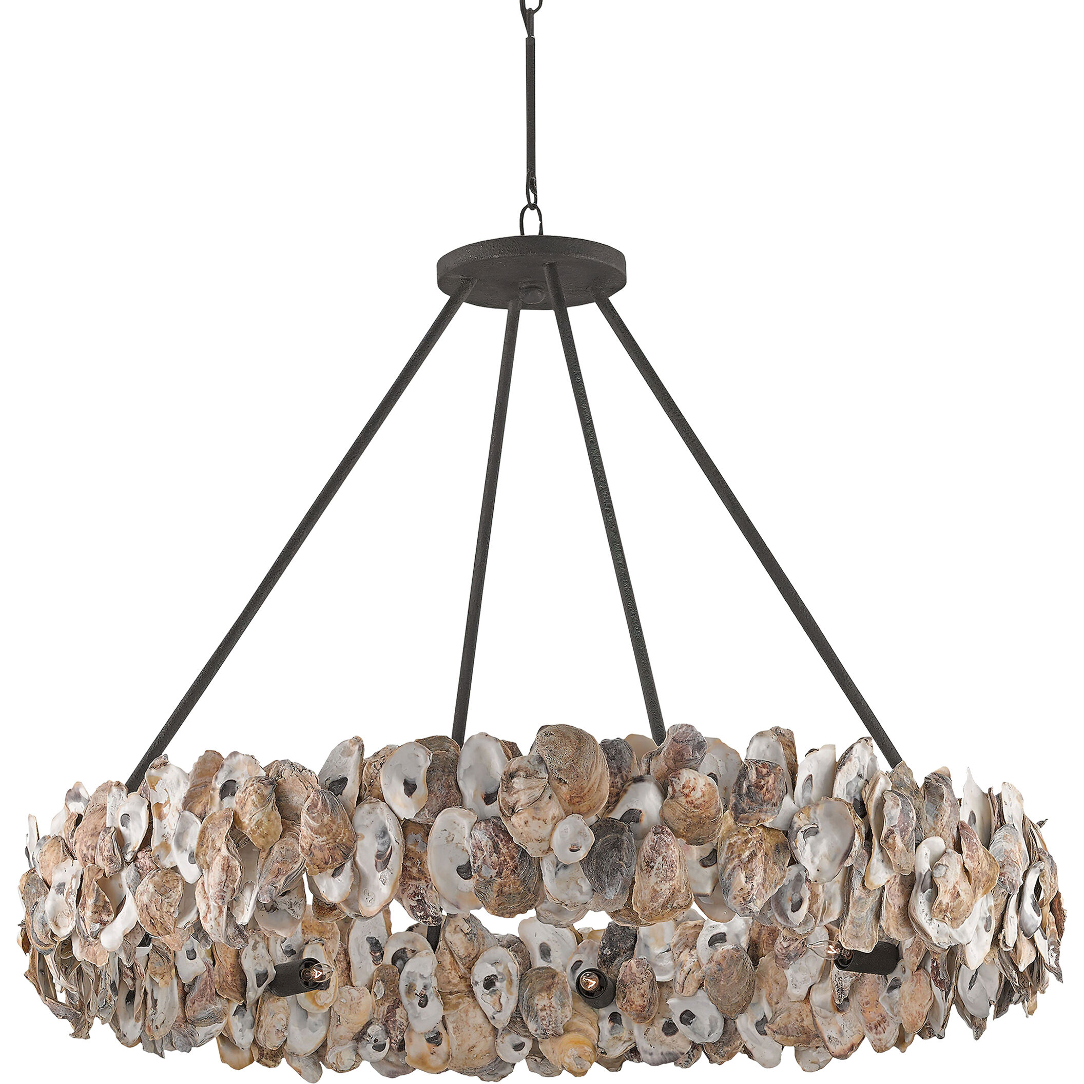 Oyster Circle 8 Light 38 inch Textured Bronze/Natural Chandelier Ceiling Light