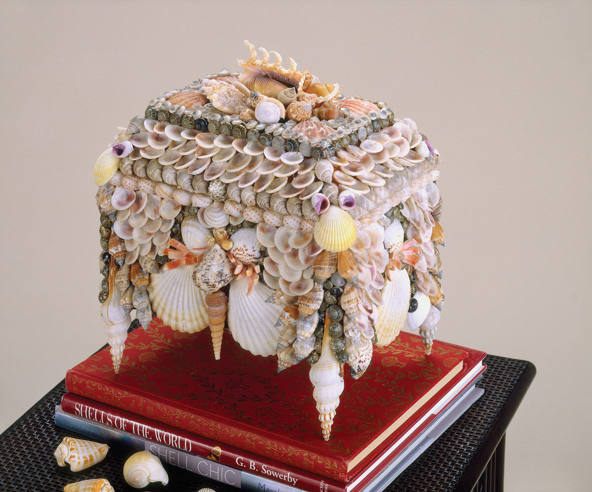 Boardwalk Shell 10 X 8 inch Natural Jewelry Box