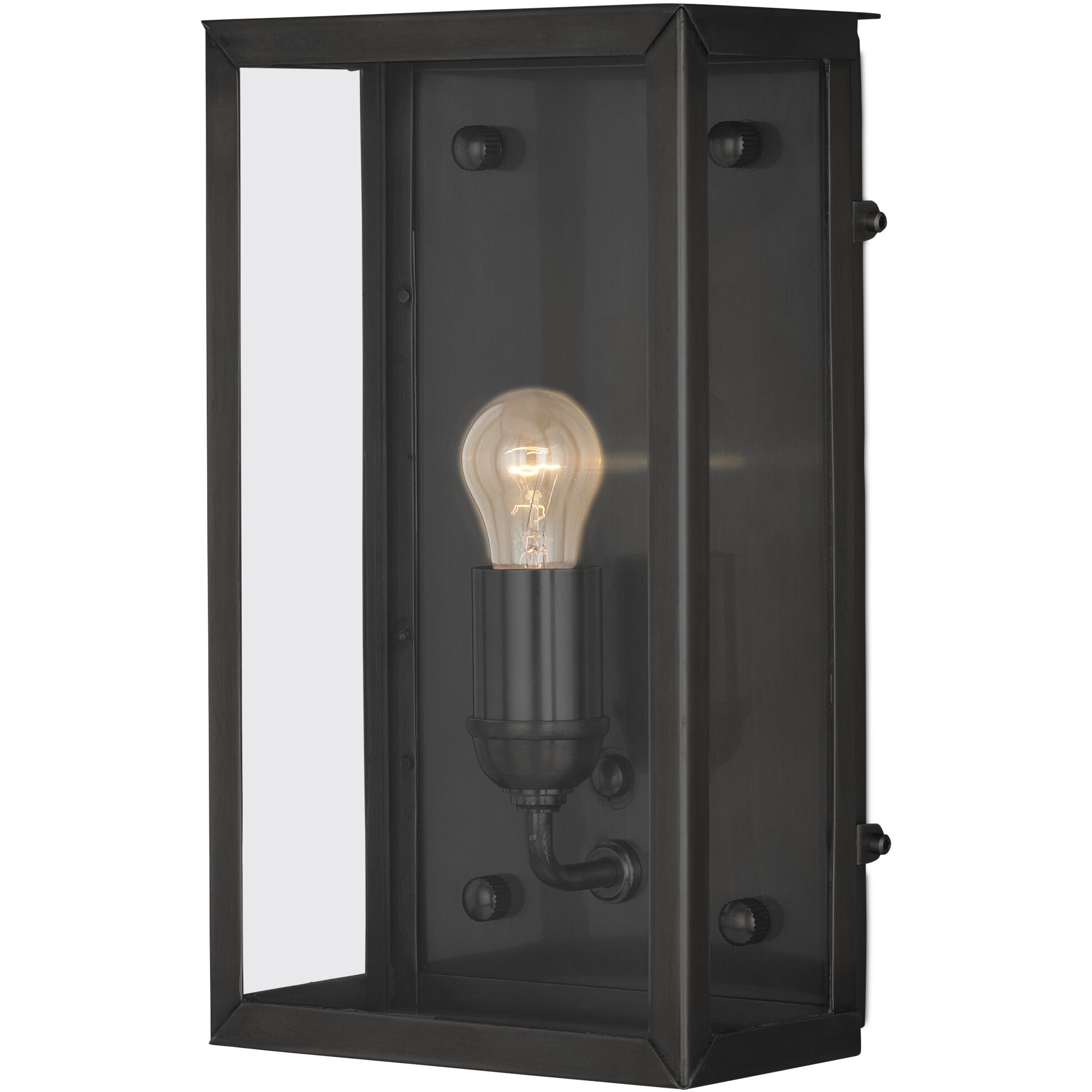 Royster 1 Light 13.75 inch Matte Black/Clear Outdoor Wall Sconce