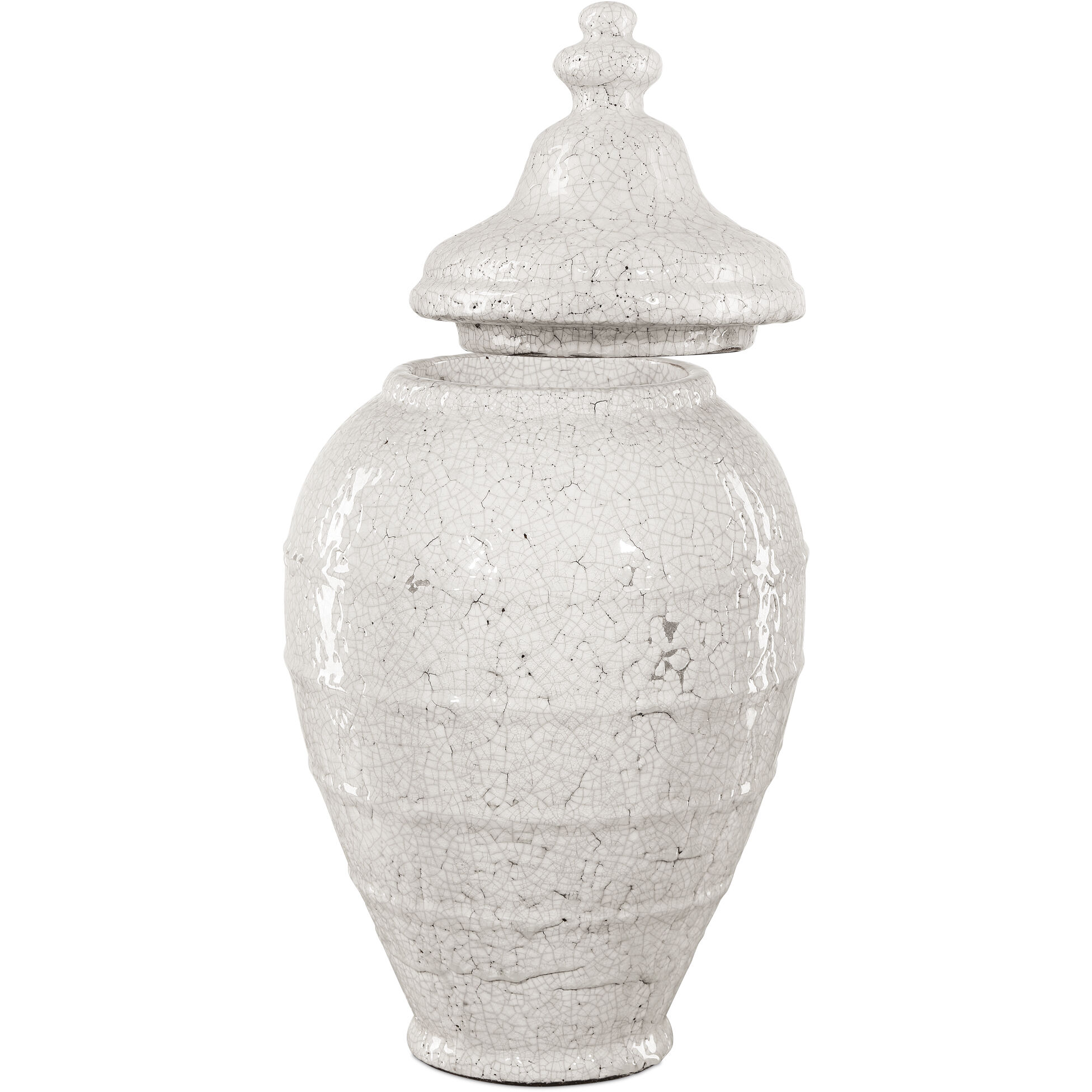 Virginal 23.5 X 12.5 inch Jar, Medium