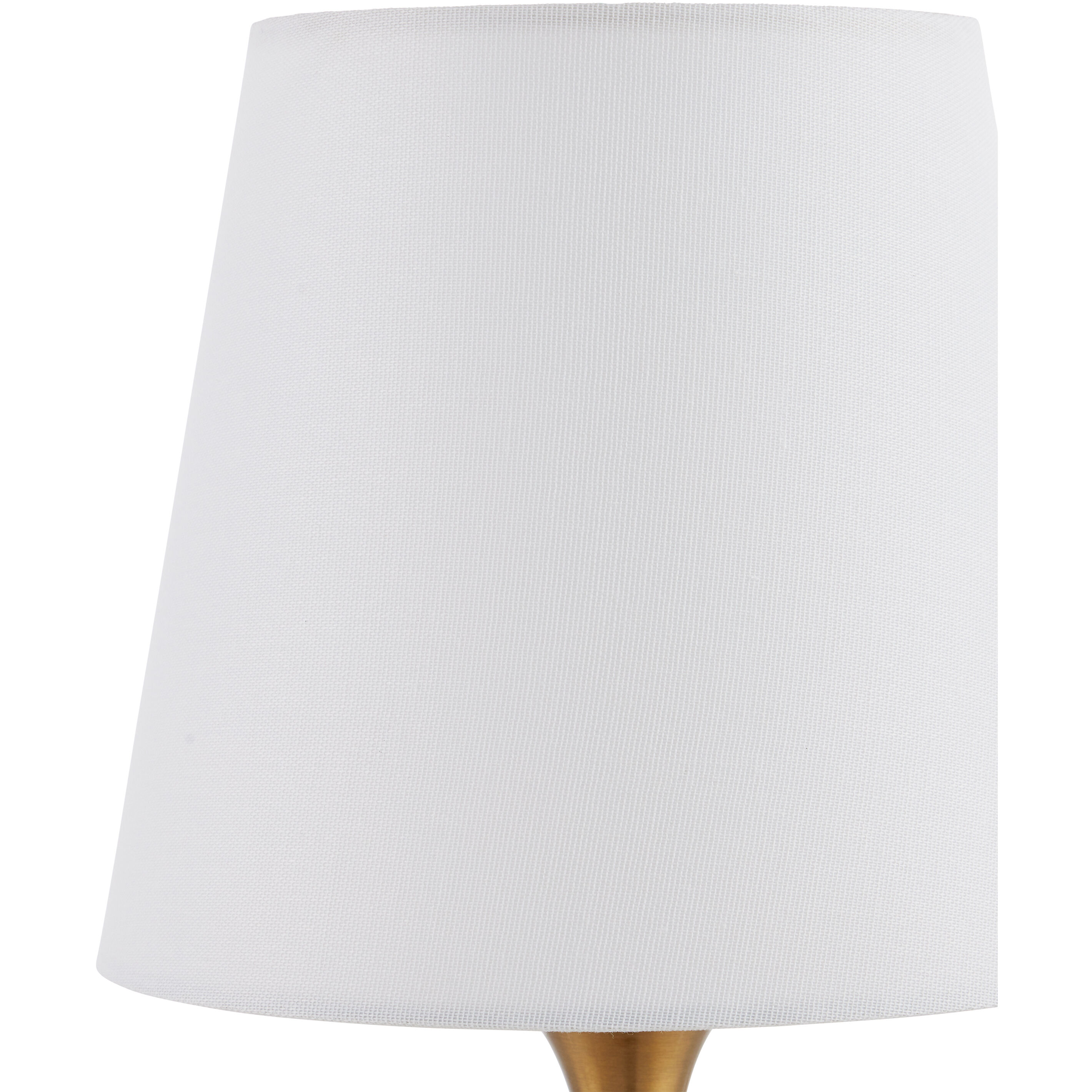 Diantha 15 inch 60 watt Clear/Antique Brass Table Lamp Portable Light