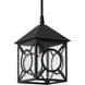 Ripley 1 Light 10 inch Midnight Outdoor Hanging Lantern, Small