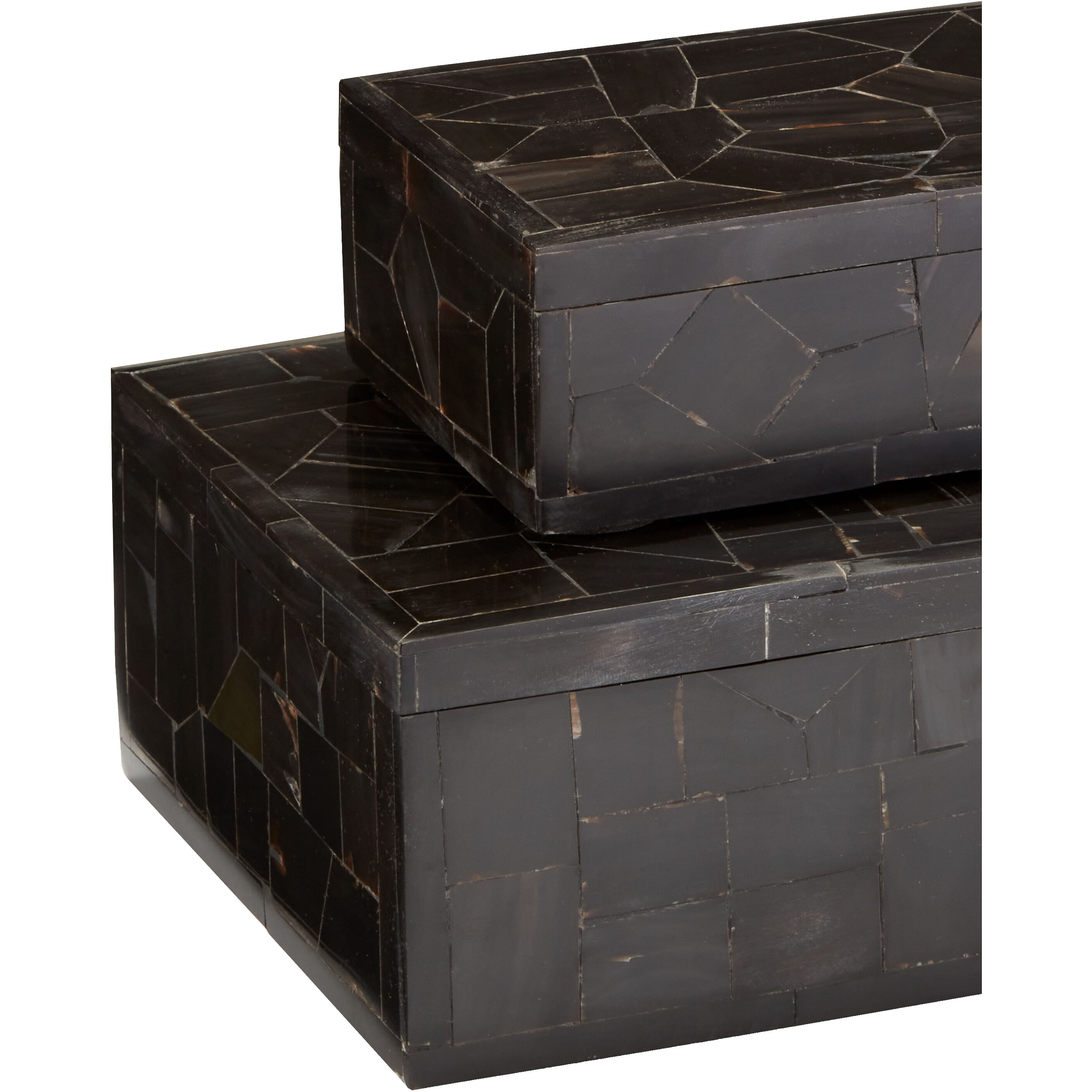 Black Bone 10.75 inch Black Boxes, Set of 2