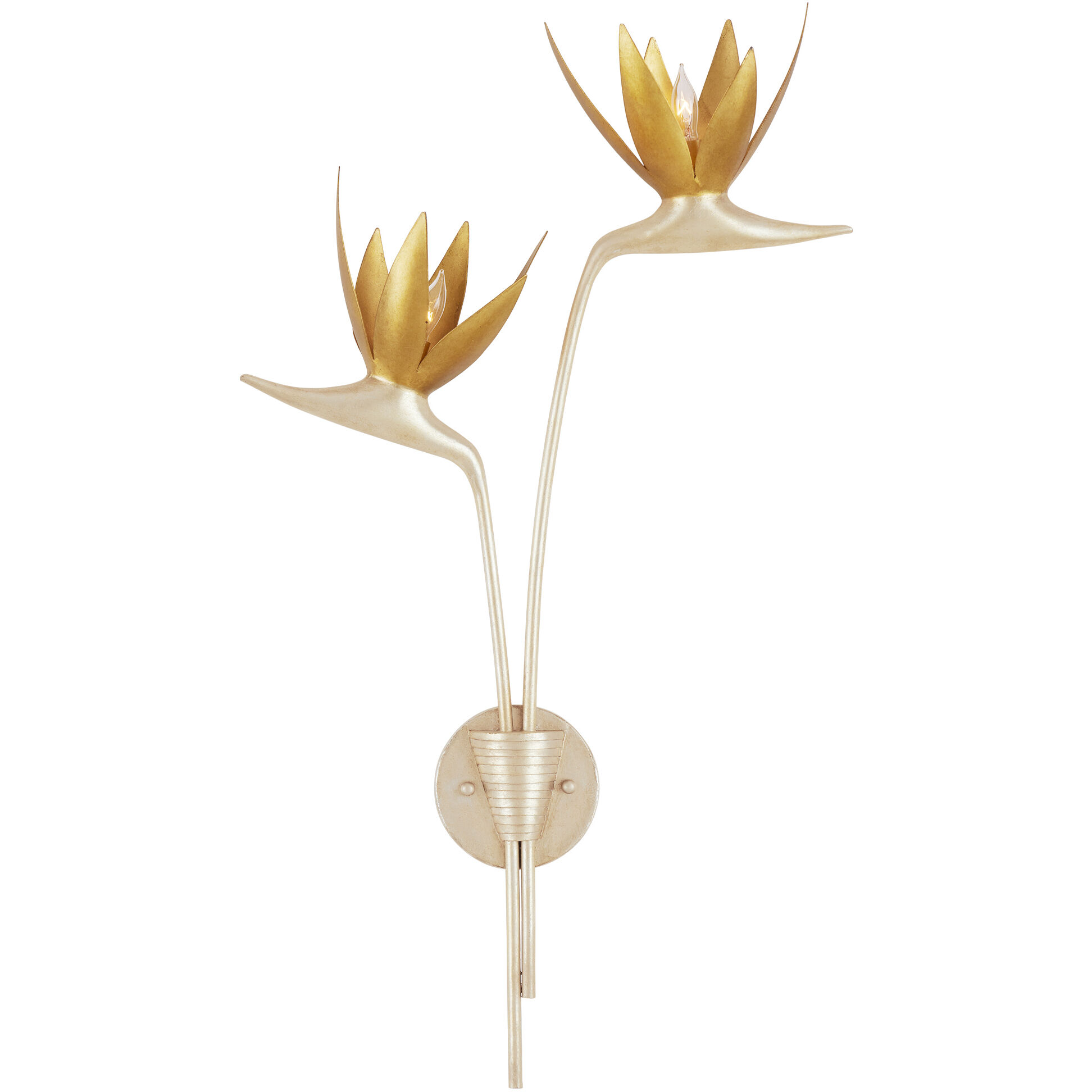 Paradiso Wall Sconce Wall Light, Right