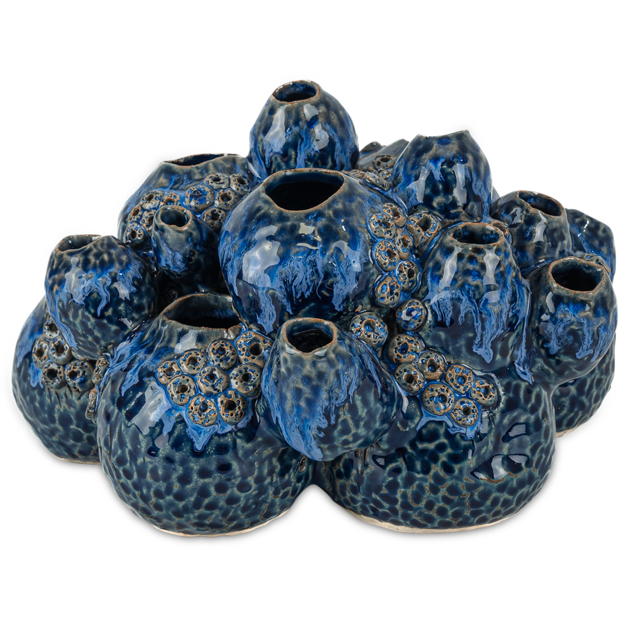 Sulawasi Reactive Dark Blue Shells Decorative Accessory