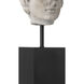 Venus Head on Stand 12.5 X 3.5 inch Sculptures, Set of 2