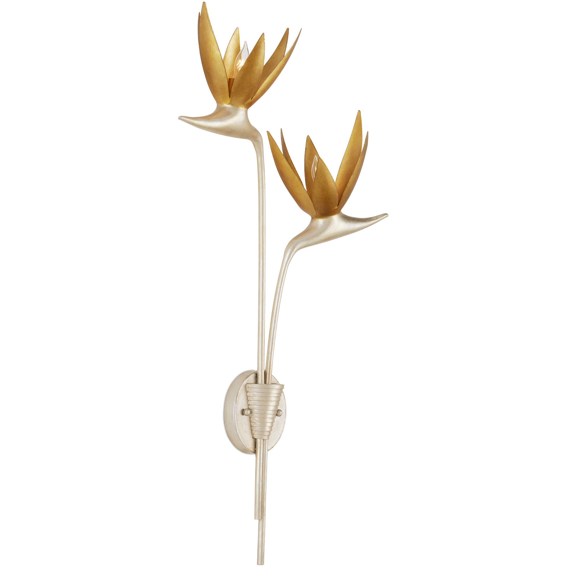 Paradiso Wall Sconce Wall Light, Right