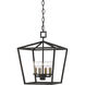 Denison 4 Light 12 inch Mol&eacute; Black Lantern Pendant Ceiling Light, Small