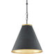Pierrepont 1 Light 16 inch Antique Black/Contemporary Gold Leaf/Painted Gold Pendant Ceiling Light, Small