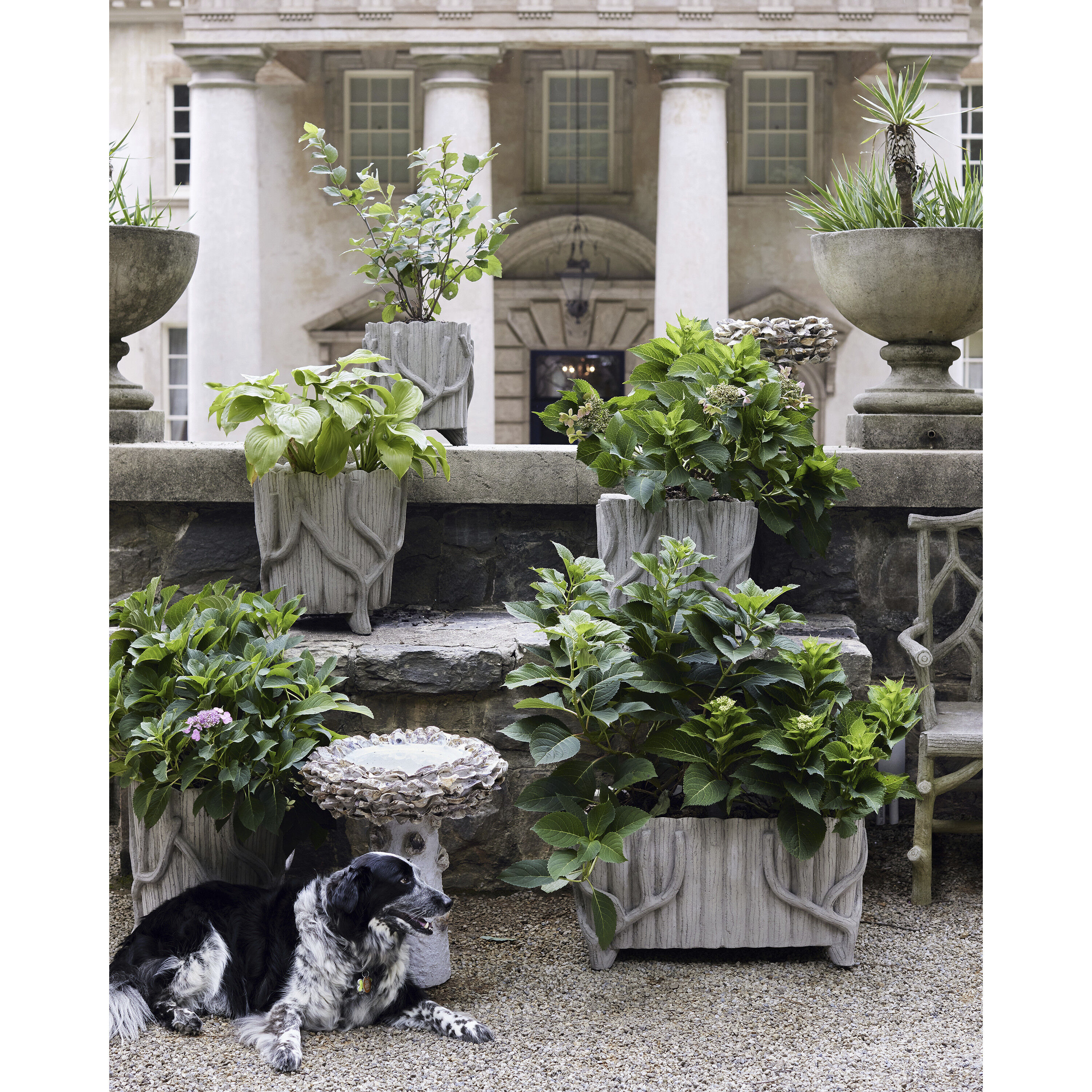 Faux Bois Portland and Faux Bois Planter, Medium