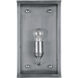 Royster 1 Light 13.75 inch Antique Silver/Clear Outdoor Wall Sconce