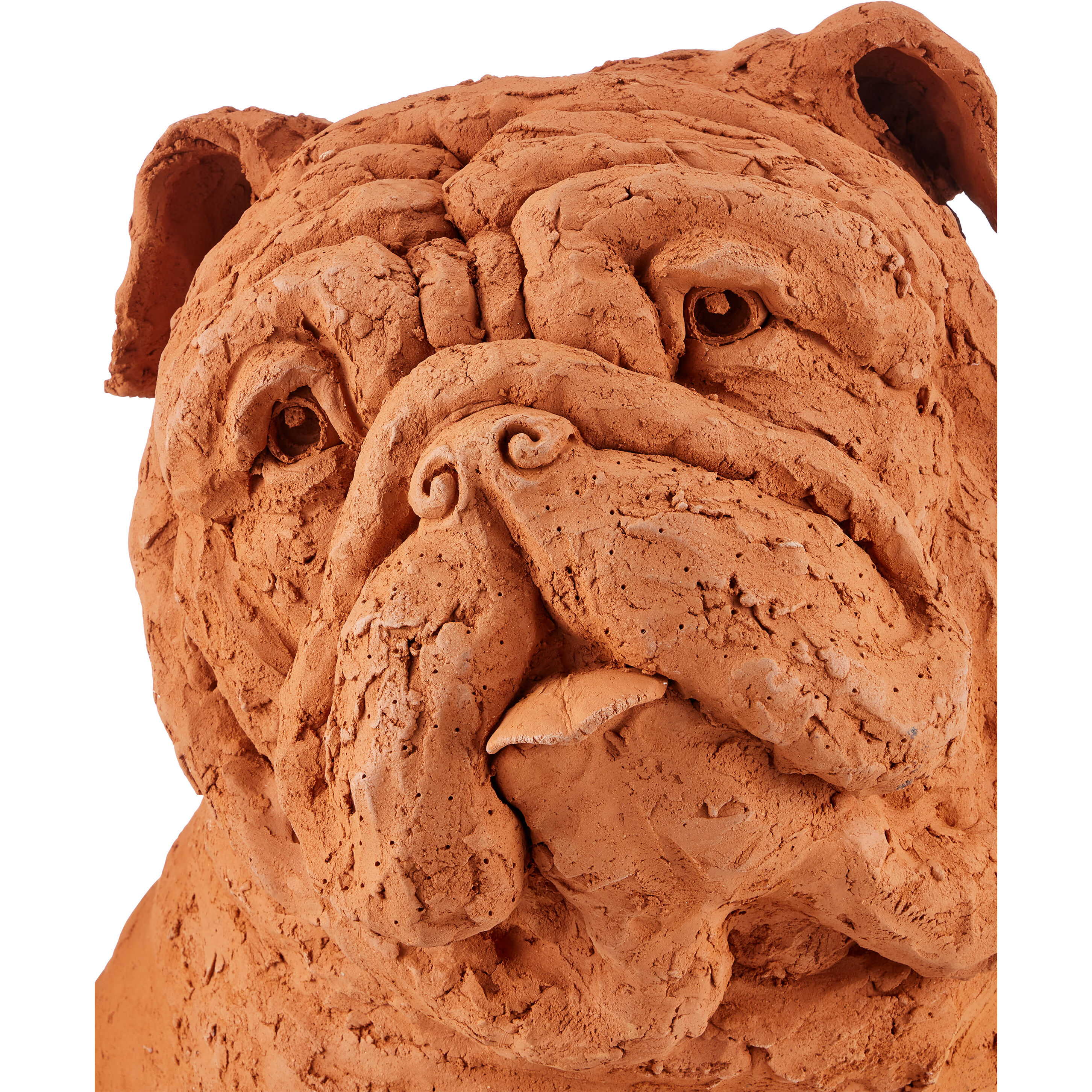 Leonard Churchill the Bulldog 23 X 16 inch Sculpture