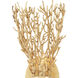 Sea Fan Wall Sconce Wall Light